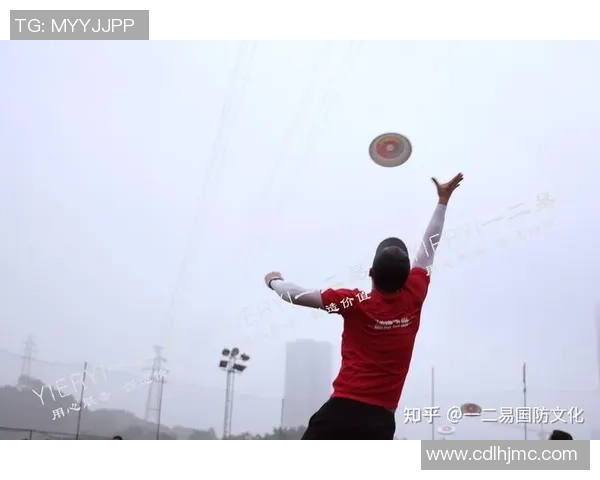 飞盘个人能力排名揭晓杭州飞盘队创历史新高引发热议